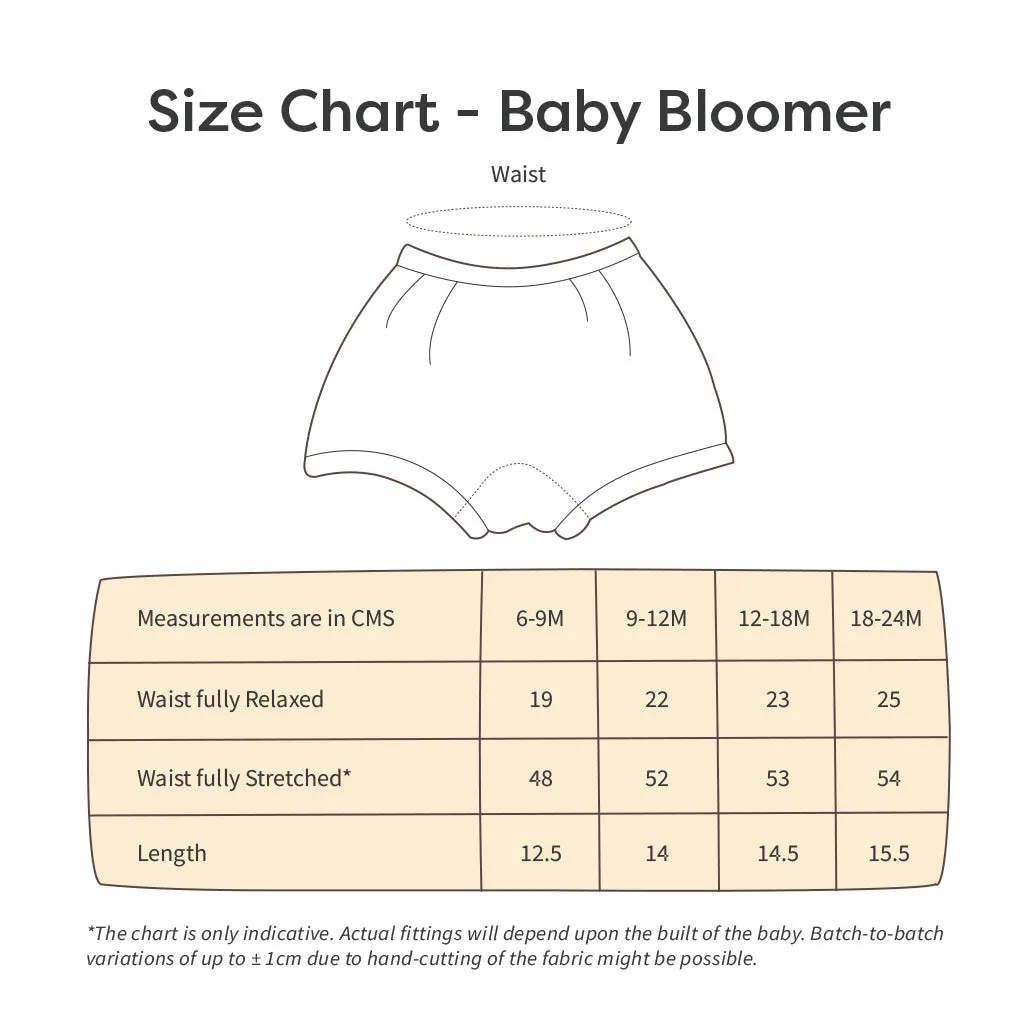 Free Waterproof Cloth Bib with pack of 5 BASIC Bloomers